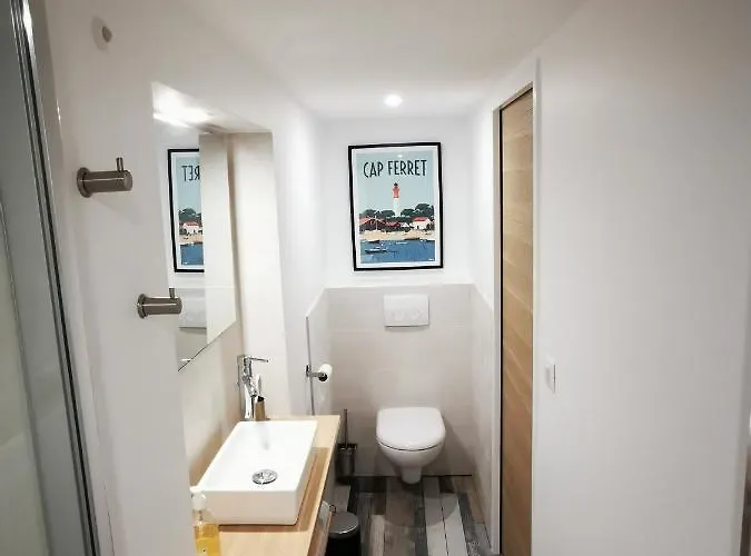 Dependance Cosy Dans Maison Bordelaise A 200m Du Tram Et Du Chu Apartamento Bordéus