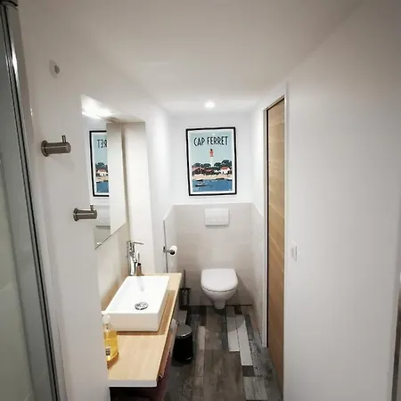 Dependance Cosy Dans Maison Bordelaise A 200m Du Tram Et Du Chu Διαμέρισμα Μπορντό