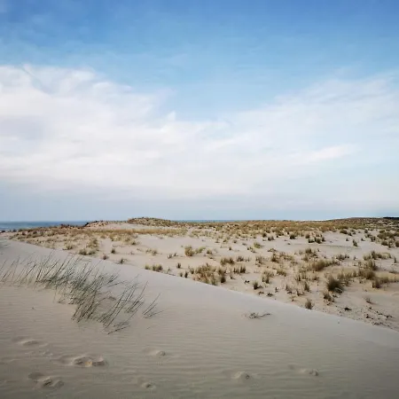 Dependance Cosy Dans Maison Bordelaise A 200m Du Tram Et Du Chu דירה בורדו