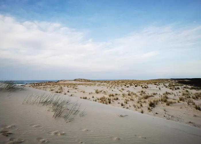 Dependance Cosy Dans Maison Bordelaise A 200m Du Tram Et Du Chu דירה בורדו